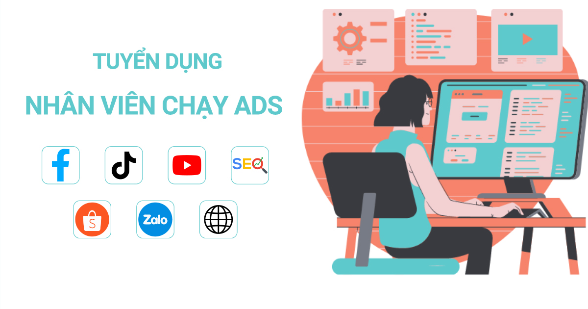 lĩnh vực hoạt động